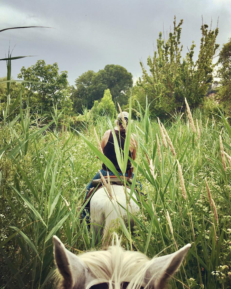 sejour Vaucluse Luberon photo 2