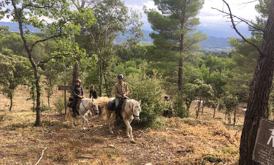 sejour Vaucluse Luberon photo 5