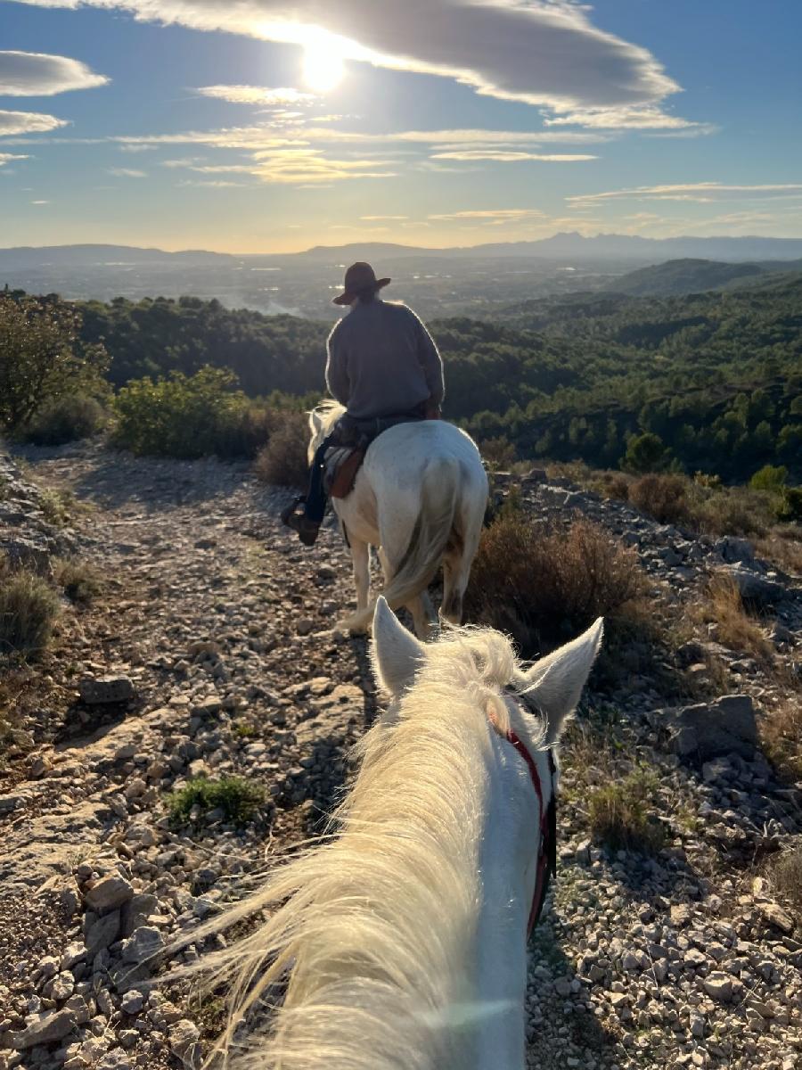 Sjour questre Vaucluse Luberon photo 2