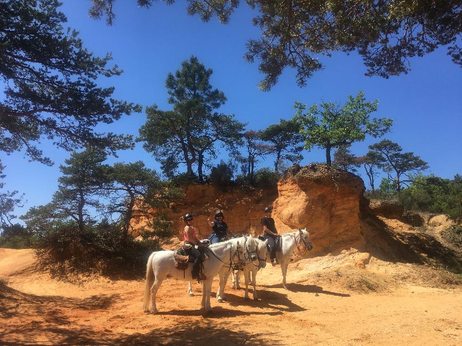 sejour Vaucluse Luberon