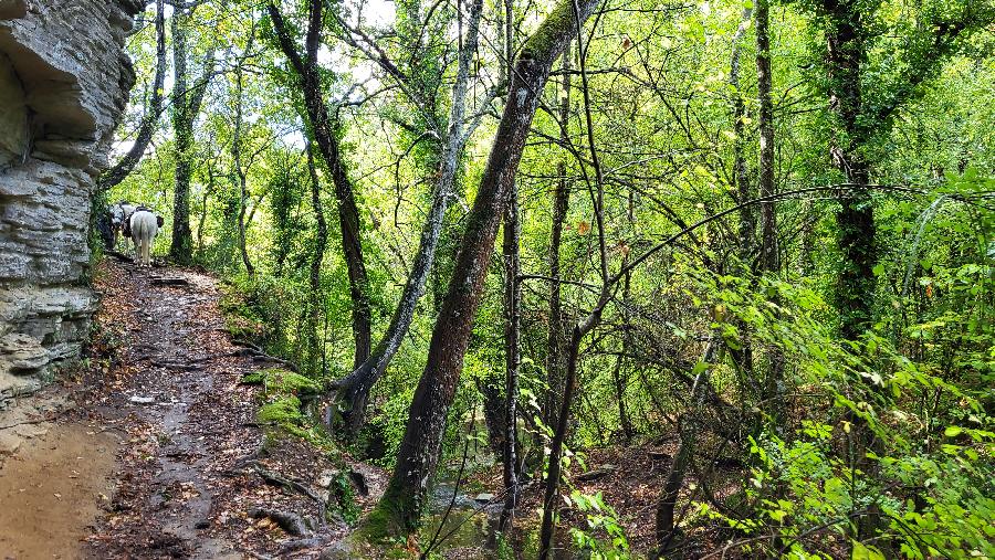 sejour Vaucluse Luberon photo 3