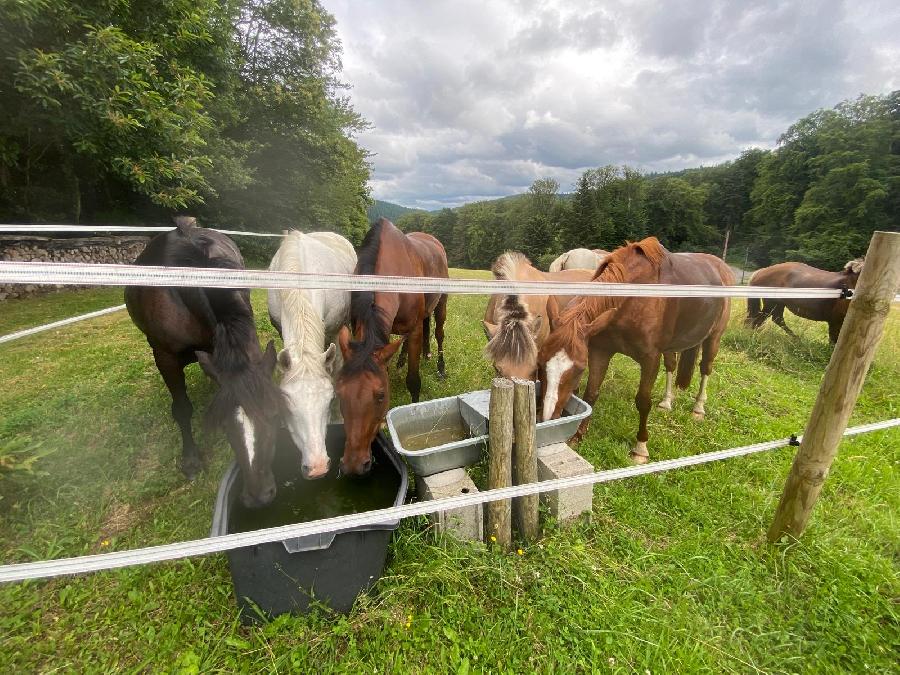 sejour Creuse  photo 4
