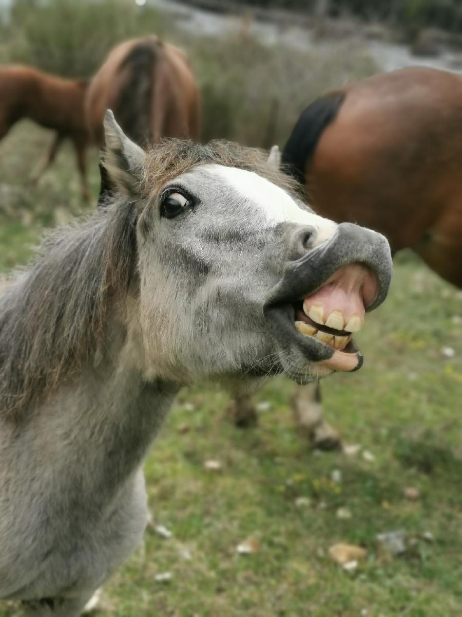 sejour Alpes de Haute-Provence  photo 6