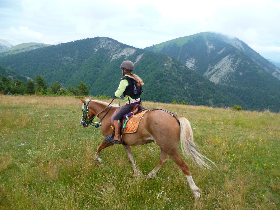 sejour Alpes de Haute-Provence 