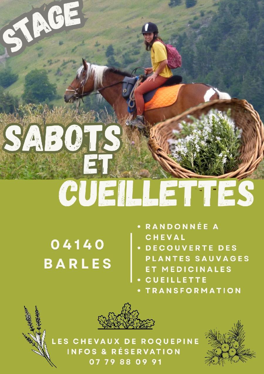 sejour Alpes de Haute-Provence  photo 2