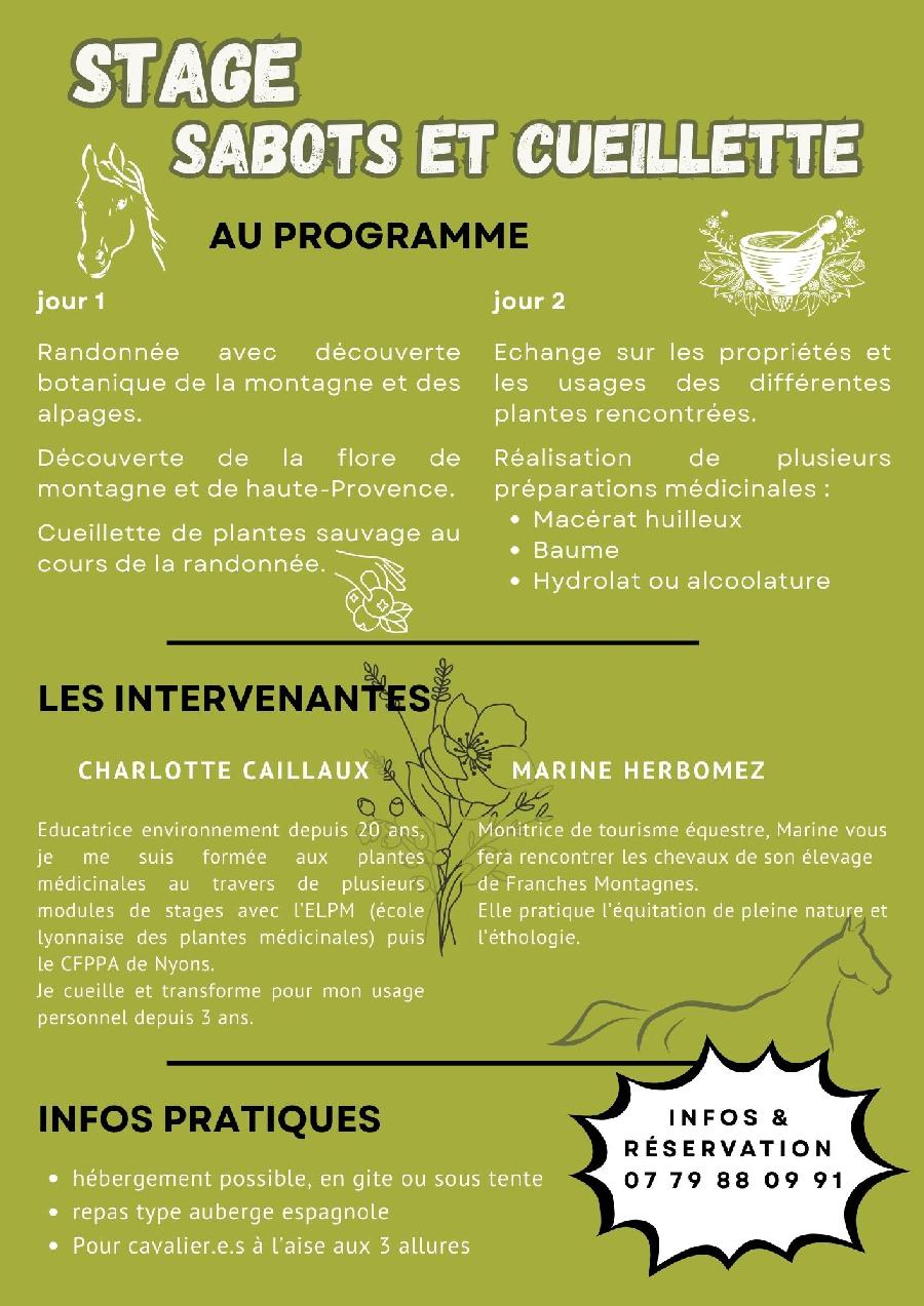 sejour Alpes de Haute-Provence  photo 3