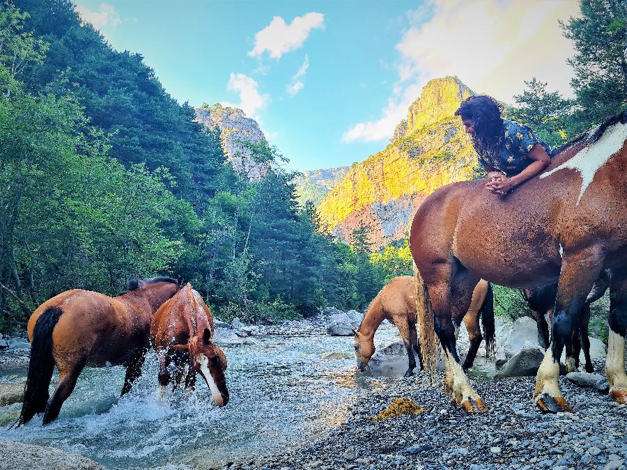 sejour Alpes de Haute-Provence  photo 3