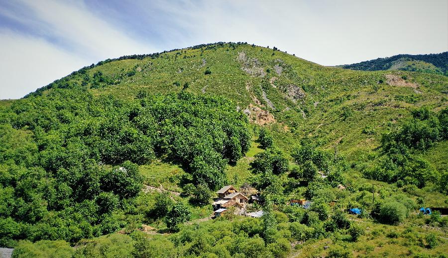 sejour Alpes de Haute-Provence  photo 5