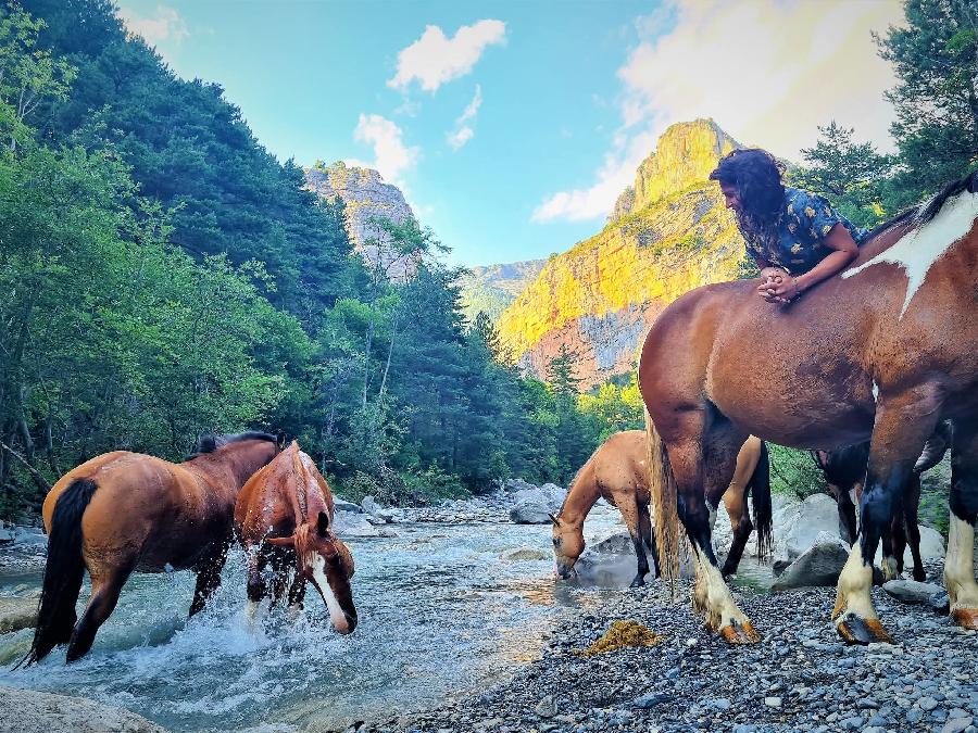 sejour Alpes de Haute-Provence 