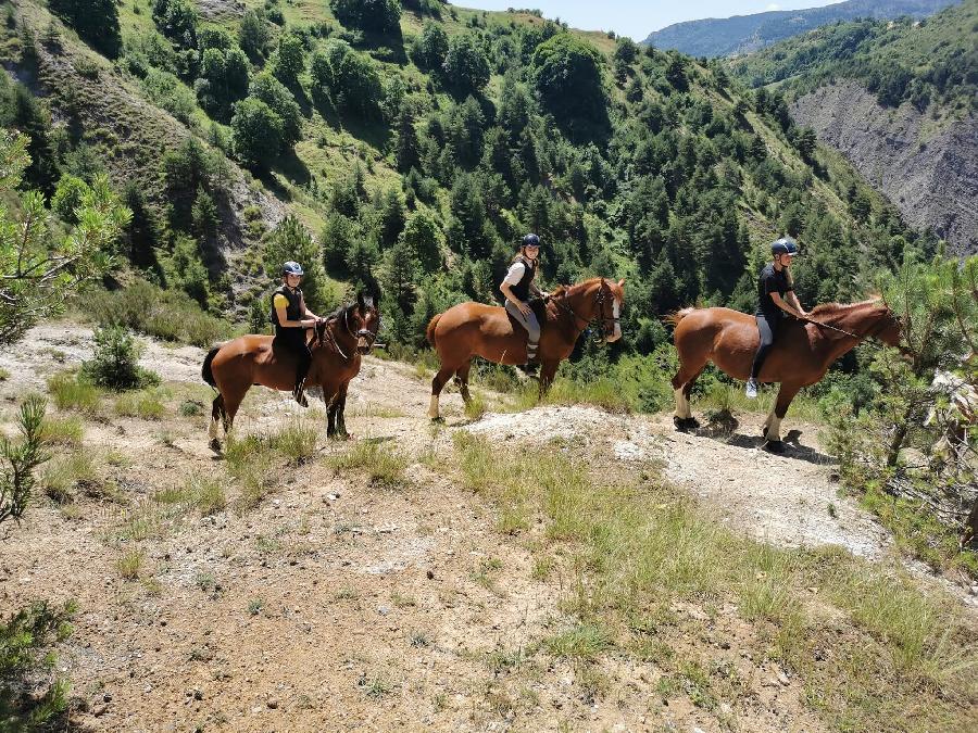 sejour Alpes de Haute-Provence  photo 2