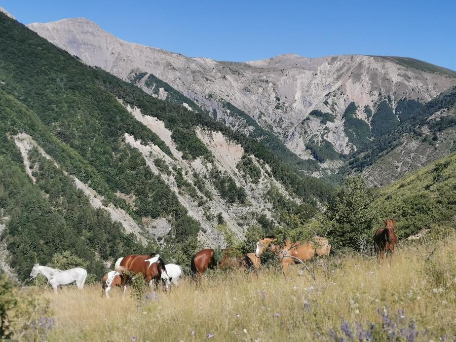 sejour Alpes de Haute-Provence  photo 4