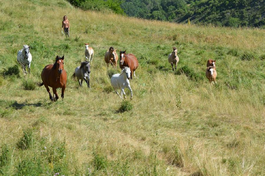 sejour Alpes de Haute-Provence  photo 6