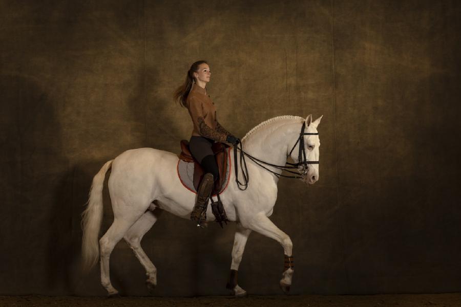 sejour Cheval et bien-tre Dordogne