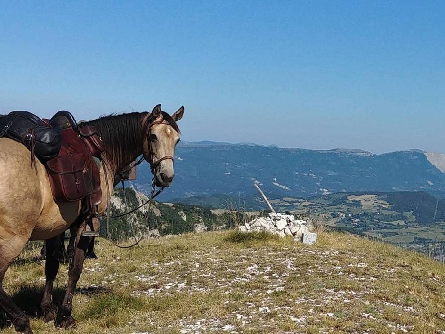 Sjour questre Drme Haut-Diois