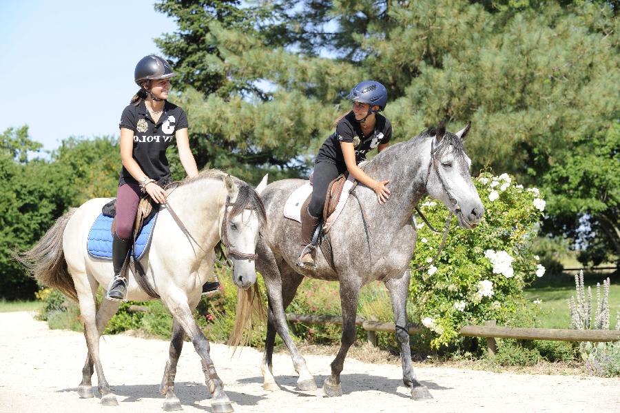 sejour Camps de vacances Vienne