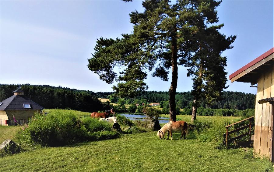 sejour Haute-Loire 