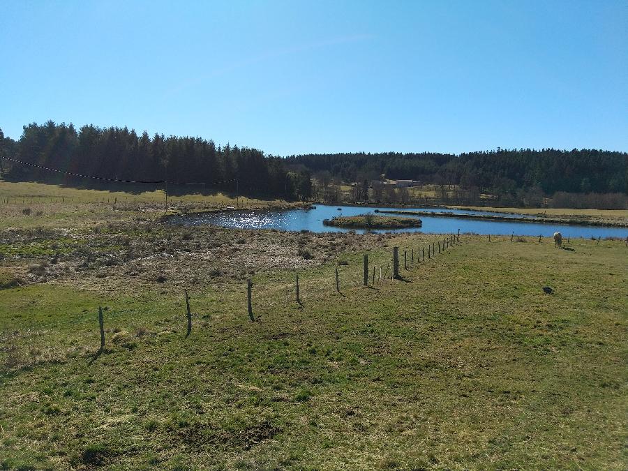 sejour Haute-Loire  photo 3