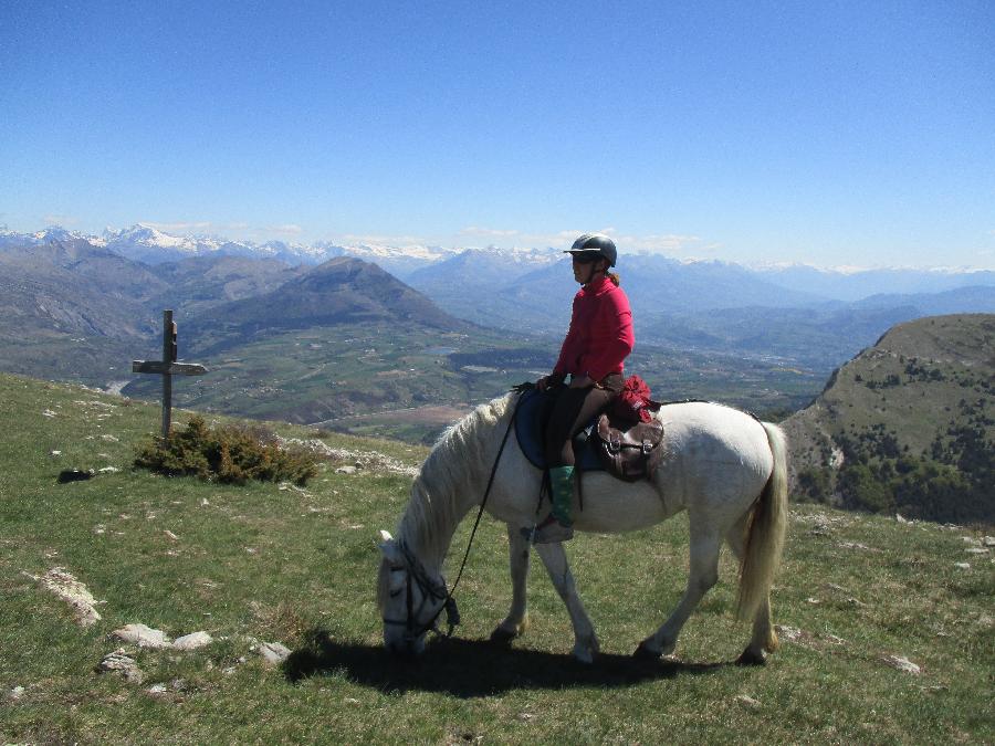 Sjour questre Hautes-Alpes Pays du Buch