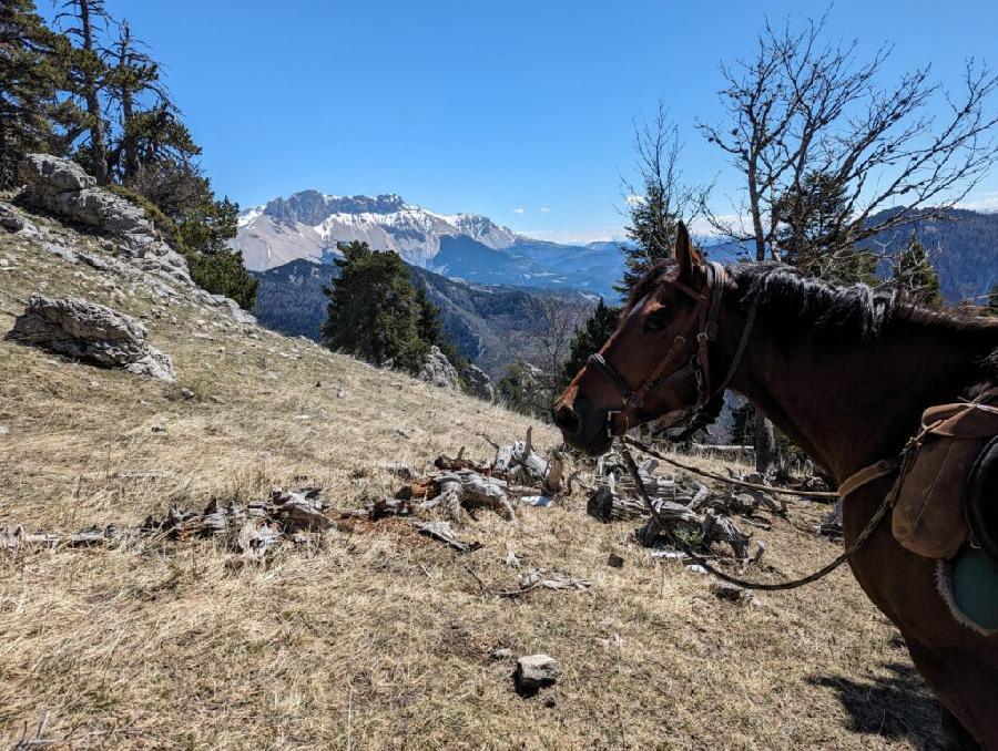 sejour Hautes-Alpes Pays du Buch