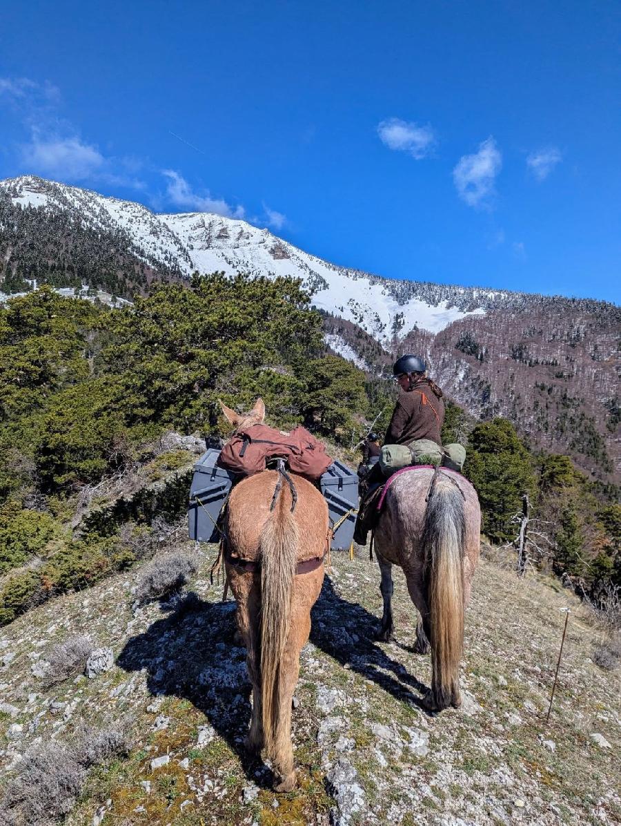 sejour Hautes-Alpes Pays du Buch photo 2