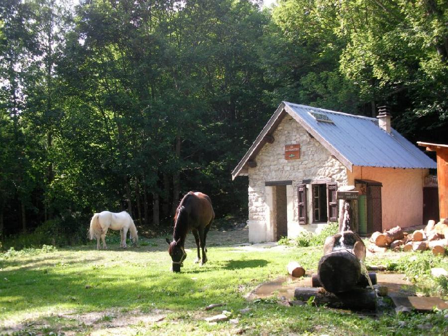 sejour Hautes-Alpes Pays du Buch photo 4