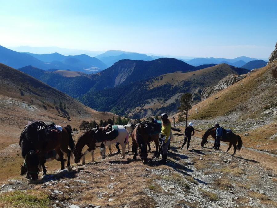 sejour Hautes-Alpes Pays du Buch photo 5