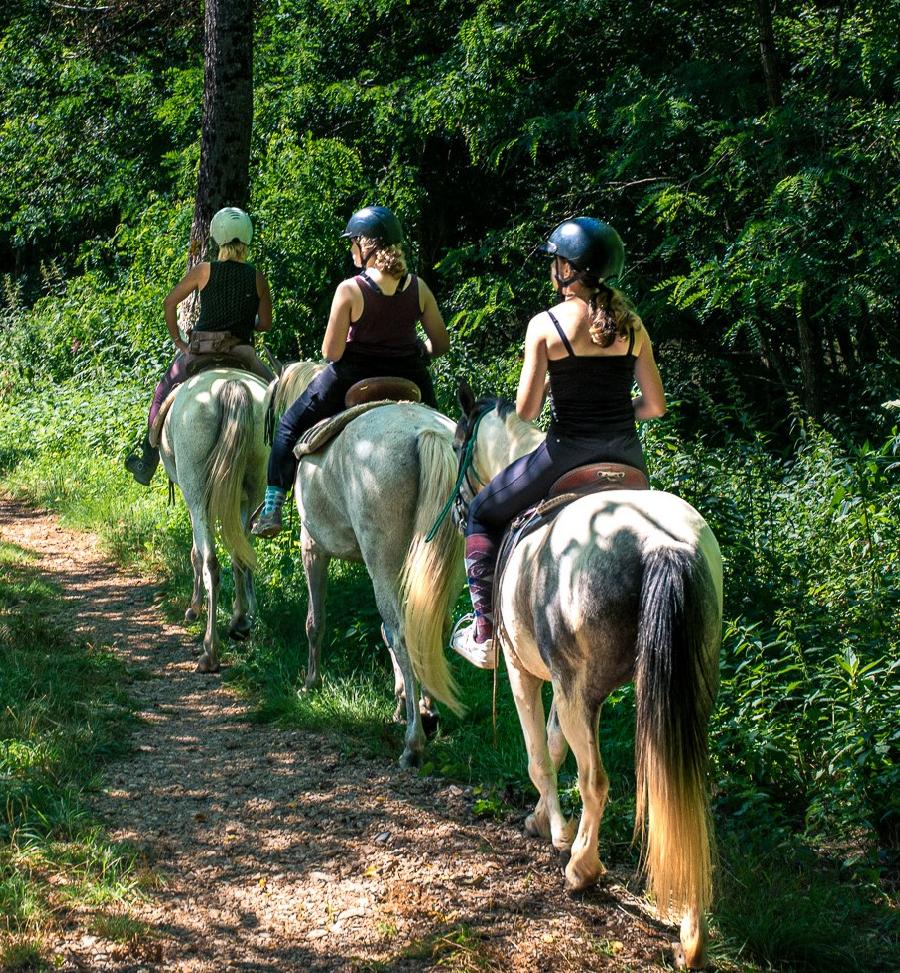 Sjour questre Aveyron Sgala photo 2