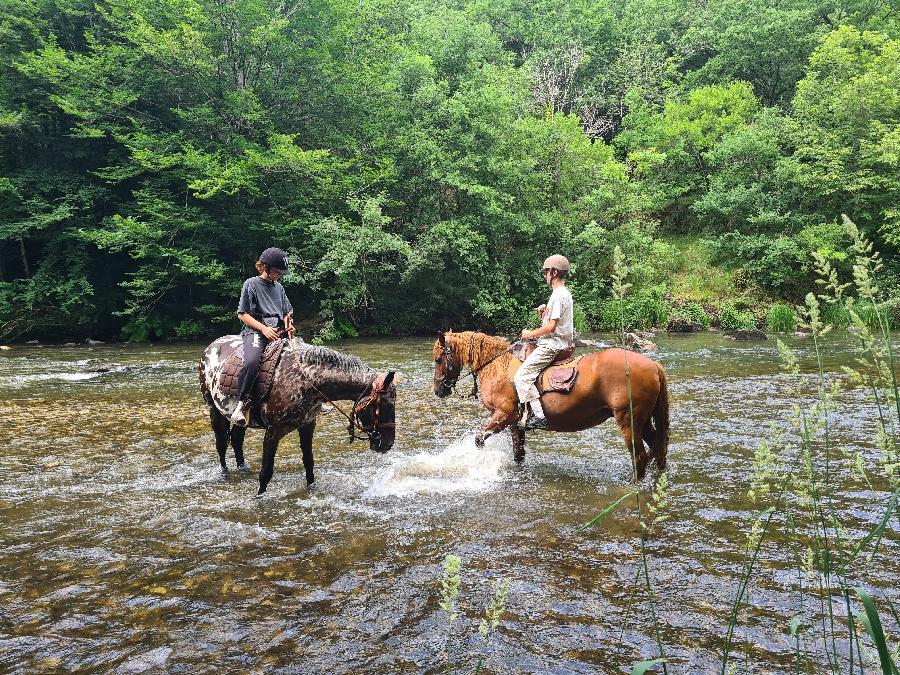 Sjour questre Aveyron Sgala photo 3