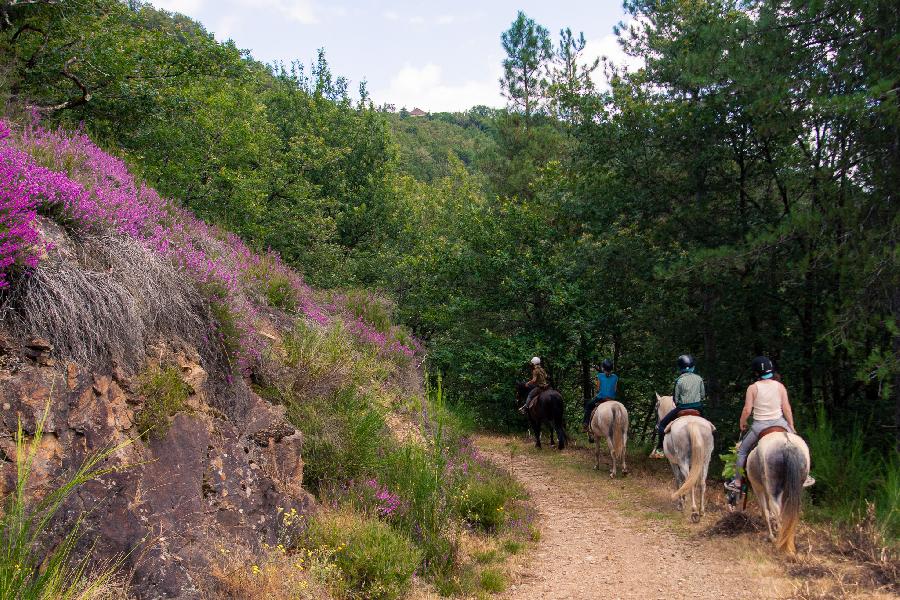 Sjour questre Aveyron Sgala