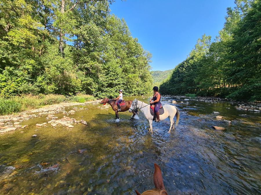 Sjour questre Aveyron Sgala photo 2