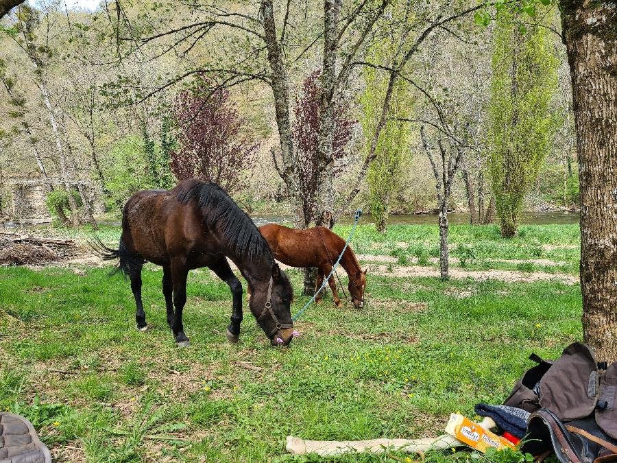 Sjour questre Aveyron Sgala photo 6