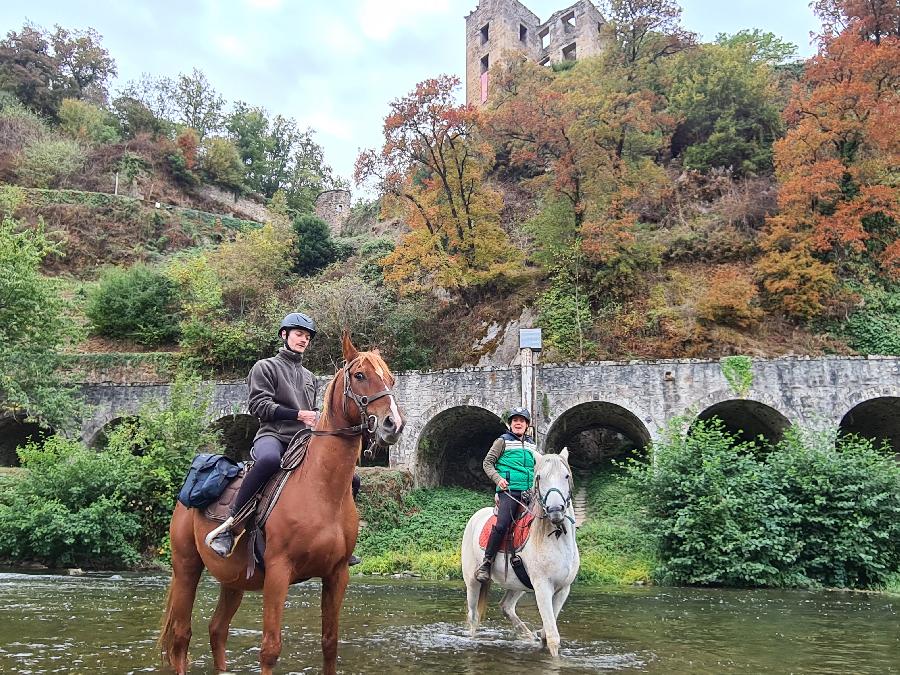 Sjour questre Aveyron Sgala