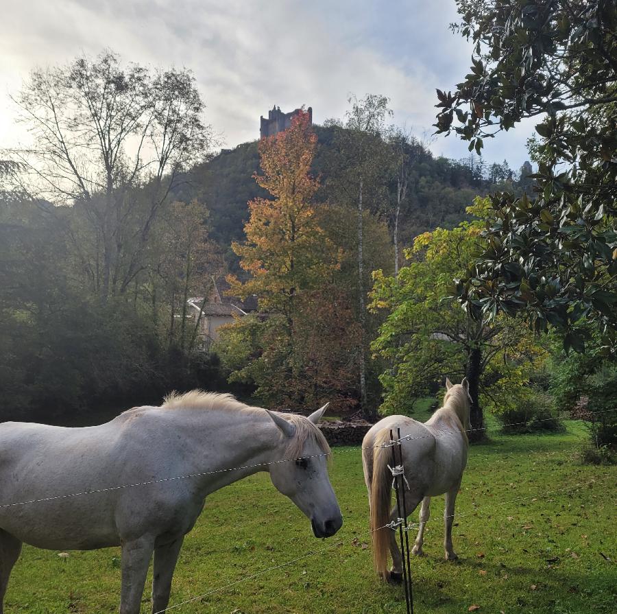 Sjour questre Aveyron Sgala