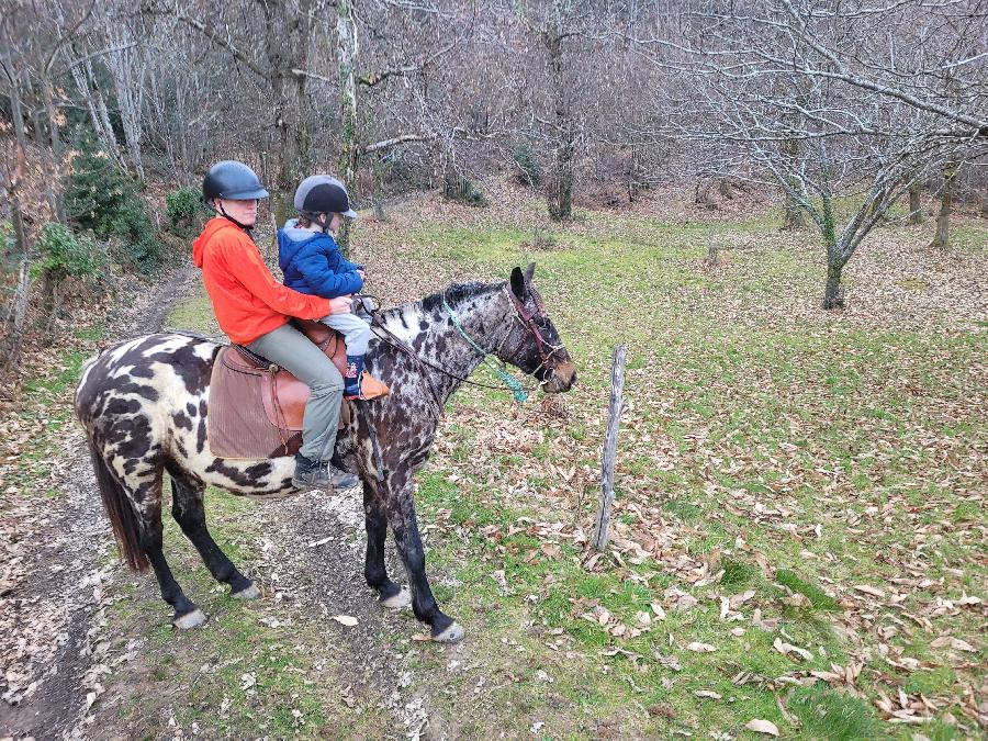 sejour Aveyron Sgala photo 6