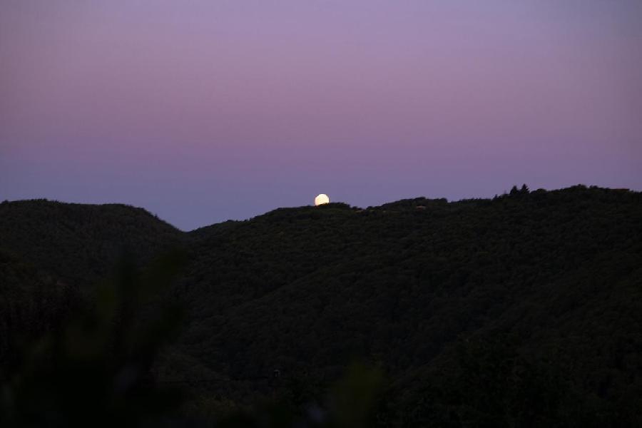 sejour Aveyron Sgala photo 3