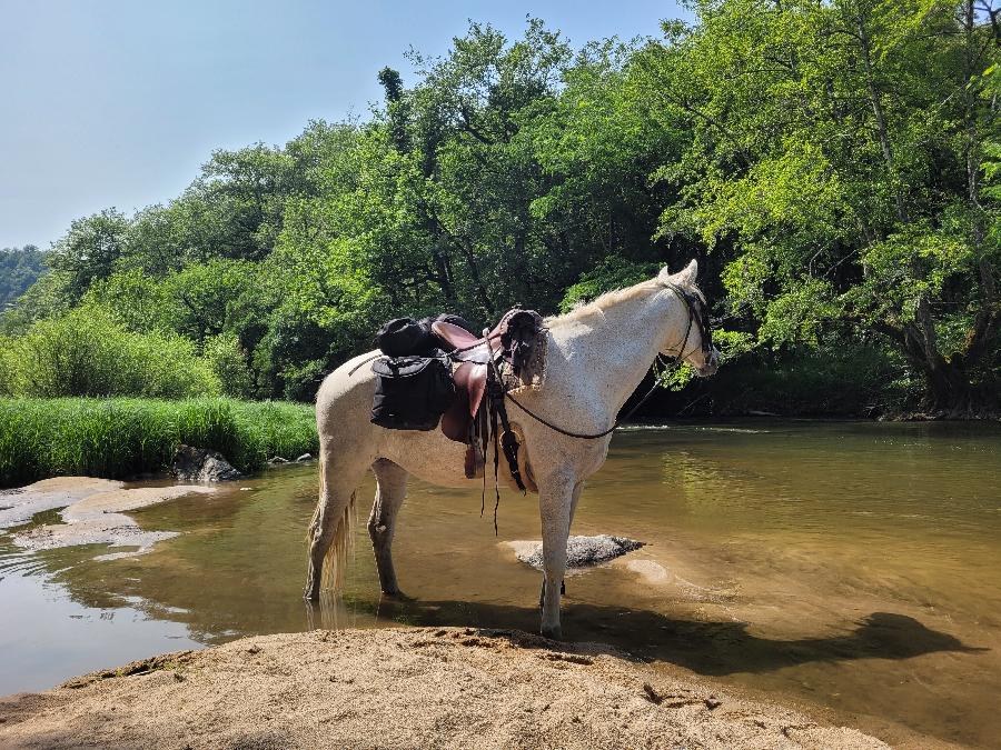 sejour Aveyron S�gala