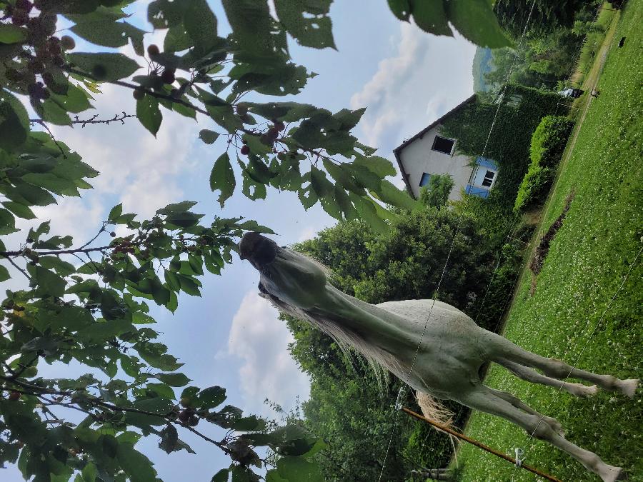 sejour Aveyron Sgala photo 6