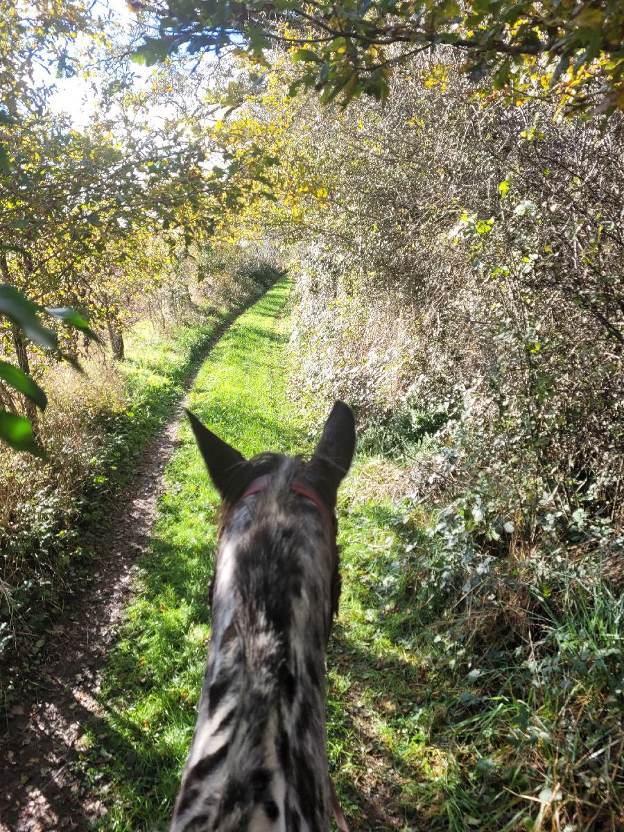sejour Tarn Sgala photo 2