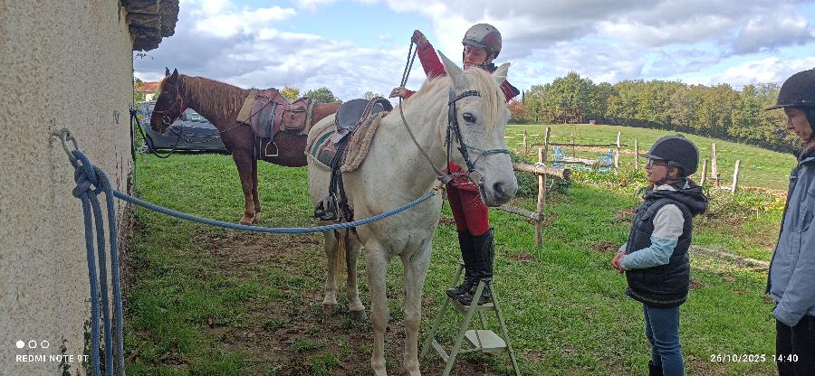 sejour Tarn Sgala photo 4