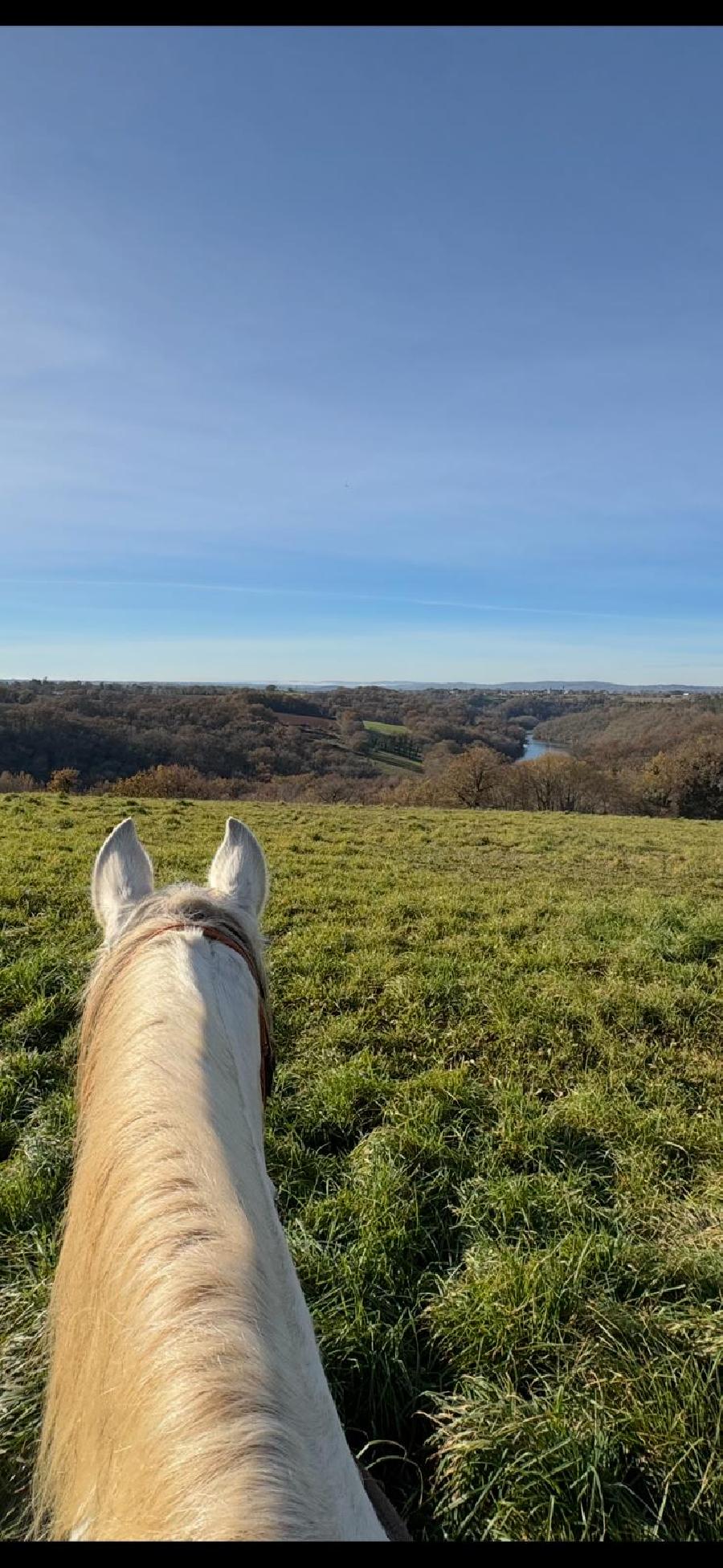 sejour Tarn Sgala photo 5