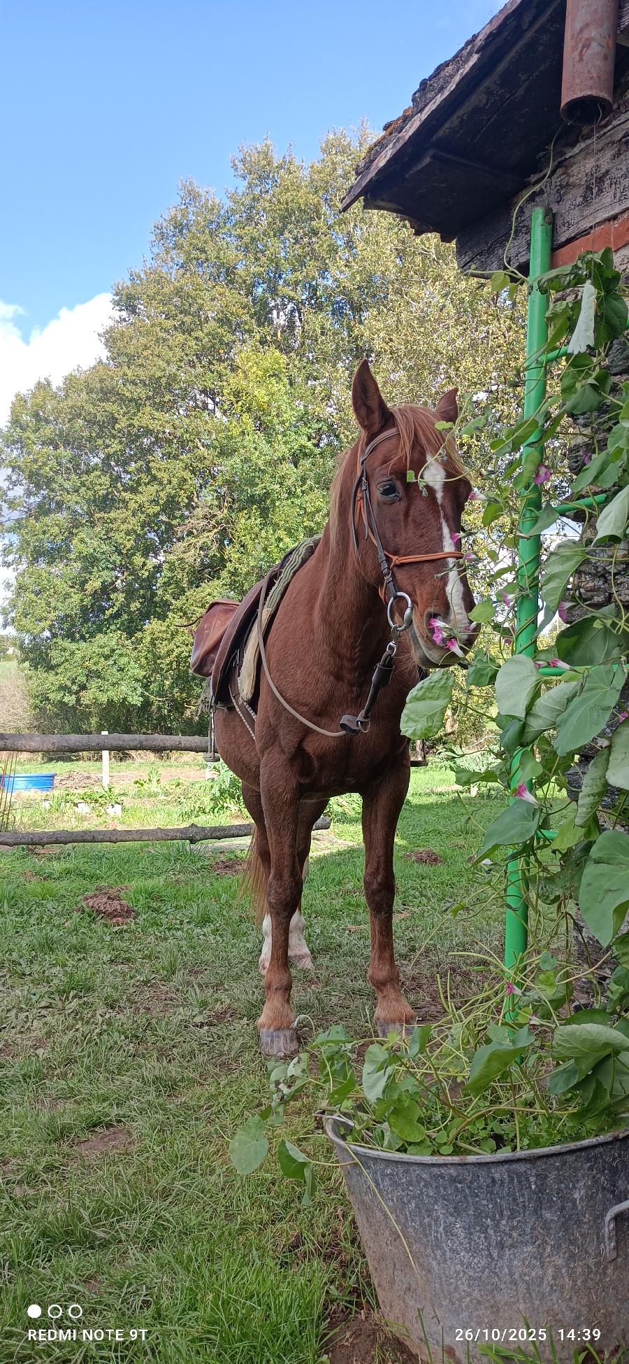 sejour Tarn Sgala photo 2