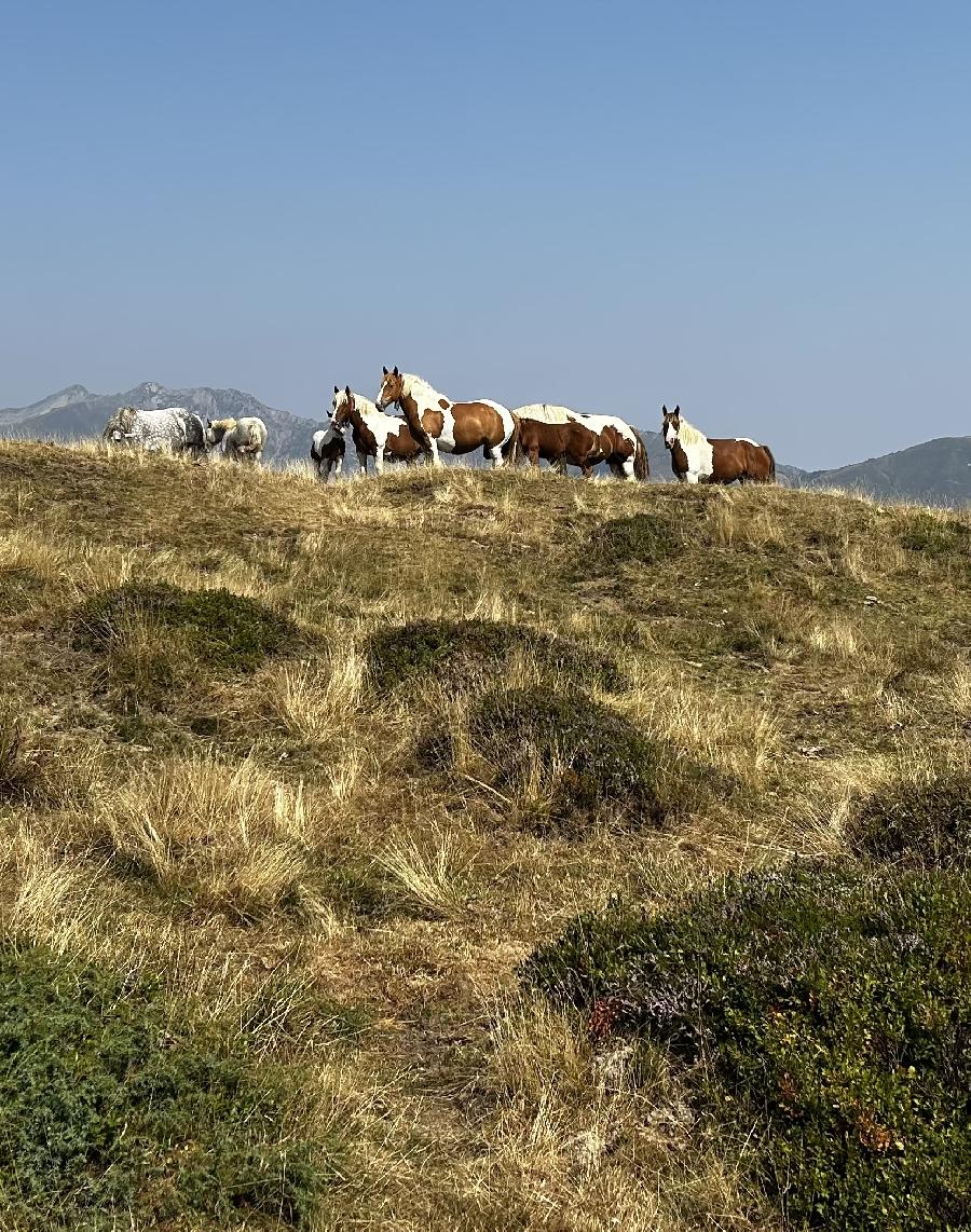 sejour Hautes-Pyr�n�es Pyr�n�es photo 6