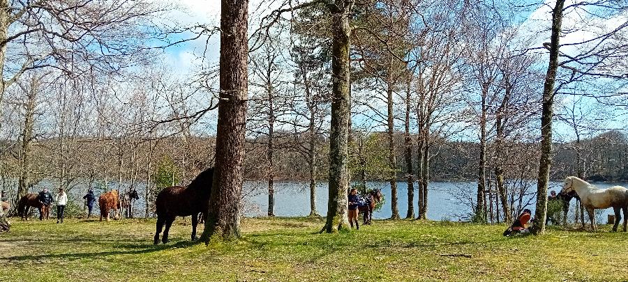 sejour Tarn PNR du Haut-Languedoc photo 6