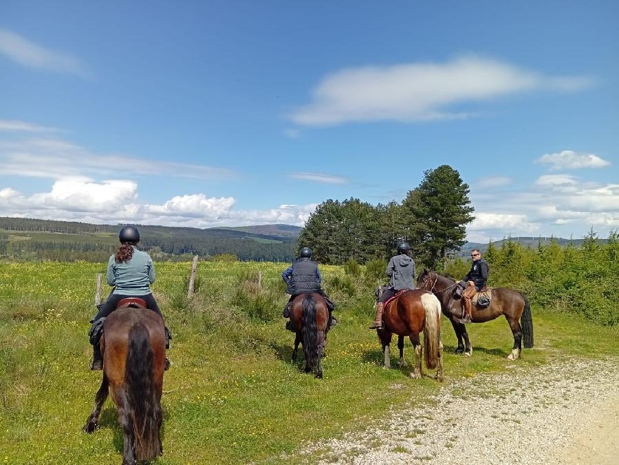 sejour Tarn PNR du Haut-Languedoc photo 4
