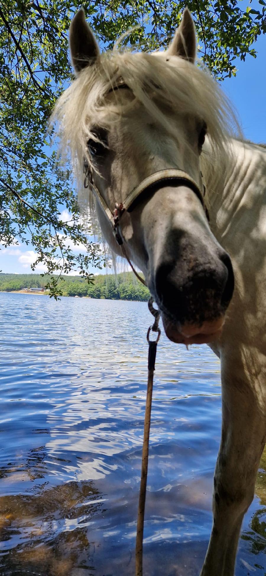 sejour Tarn PNR du Haut-Languedoc photo 5
