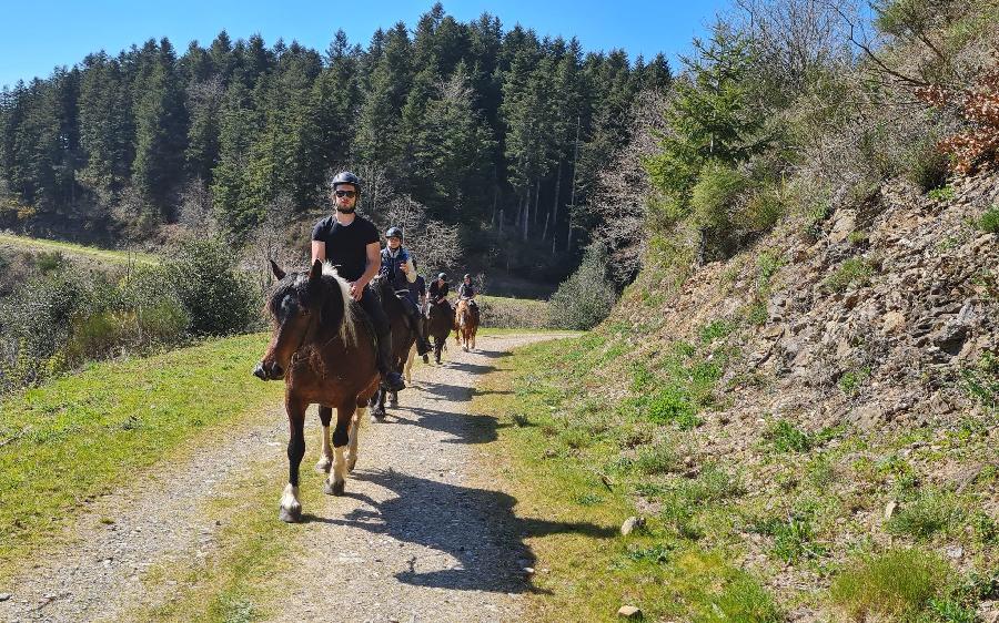 Sjour questre Tarn PNR du Haut-Languedoc photo 4