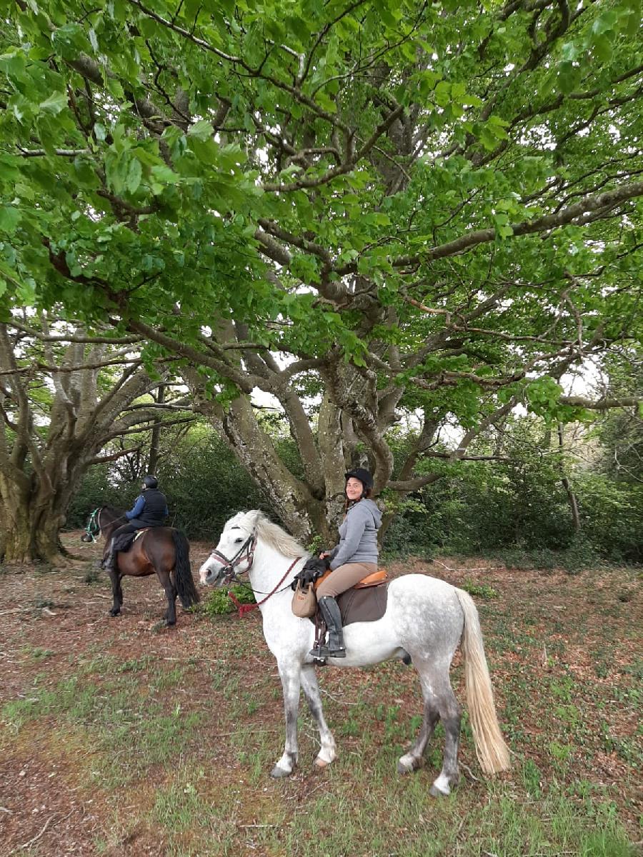 sejour Tarn PNR du Haut-Languedoc photo 5