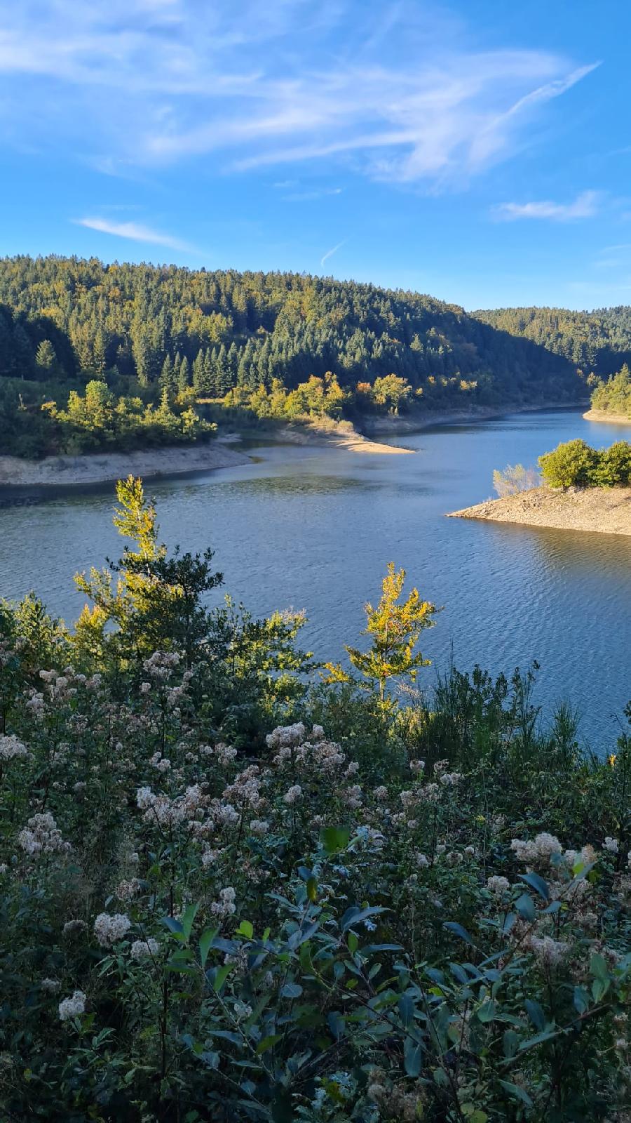 sejour Tarn PNR du Haut-Languedoc photo 3