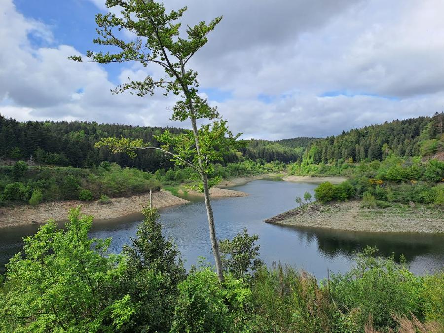 rando Randonne questre Tarn