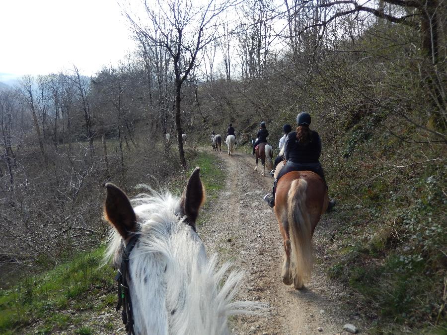 sejour Tarn PNR du Haut-Languedoc